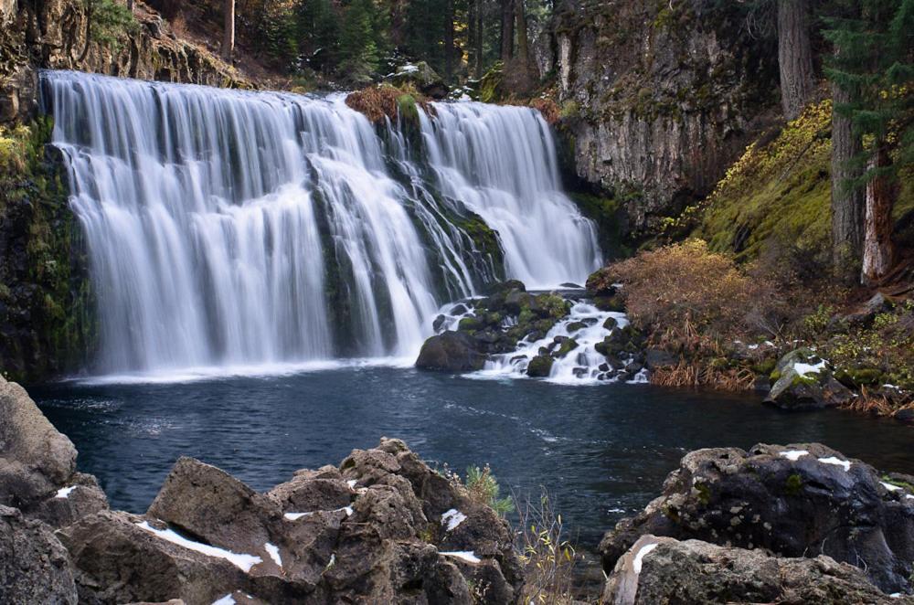 Mccloud River Bed And Breakfast Dış mekan fotoğraf