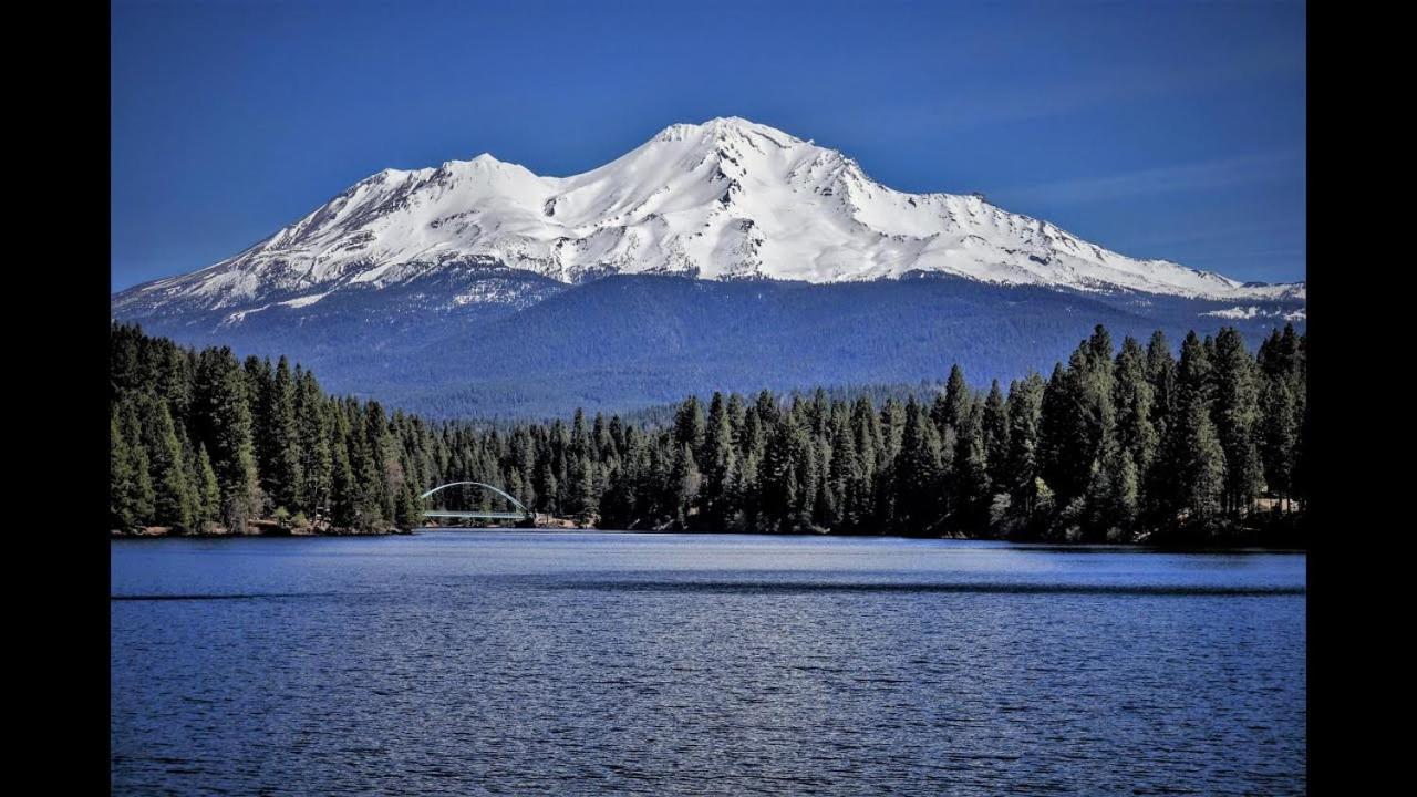 Mccloud River Bed And Breakfast Dış mekan fotoğraf